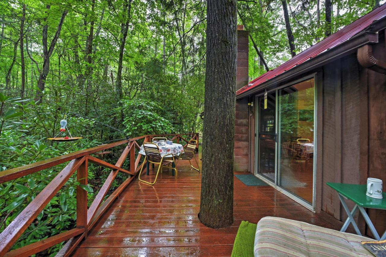 Serene Creekside Cottage Near Asheville Fire Pit Candler Esterno foto