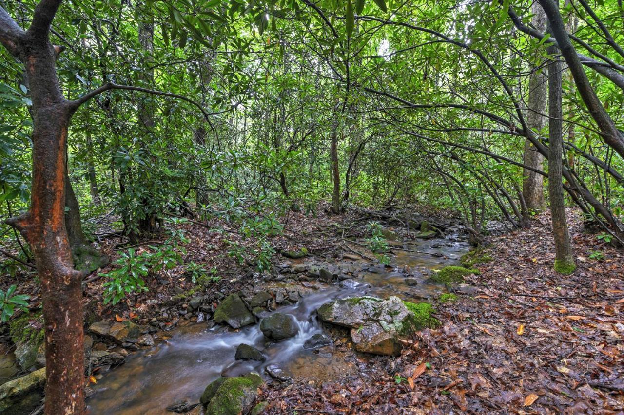 Serene Creekside Cottage Near Asheville Fire Pit Candler Esterno foto